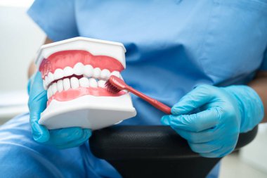 Hasta için diş fırçası ve diş fırçasıyla diş temizliği yapan Asyalı bir dişçi..