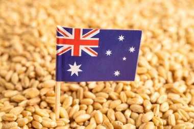 Avustralya bayrağı, ticaret ihracatı ve ekonomisi olan tahıl taneleri.