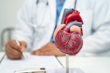 Kardiyovasküler hastalık CVD, Asyalı doktor kalp hastalıklarını öğrenmek ve tedavi etmek için insan anatomisi modeli tutuyor.