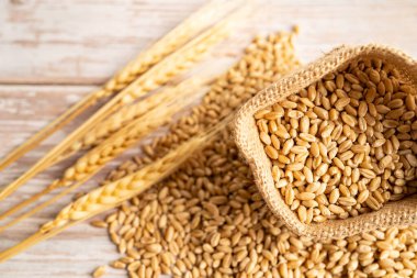 Tahıl, ticaret ihracat ve ekonomi.