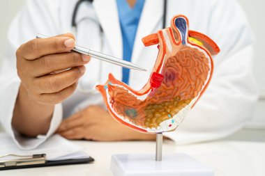 Mide hastalığı, hastanede teşhis ve tedavi için insan anatomisi modeli olan bir doktor..