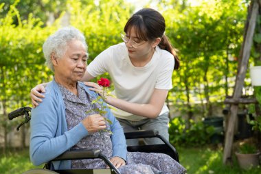 Asian elderly woman holding red rose flower, smile and happy in the sunny garden.