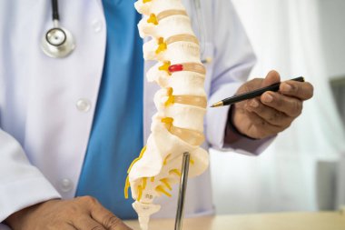 Ortopedi bölümünde tedavi için omurga iskeleti ve sinir modeline sahip bir doktor..