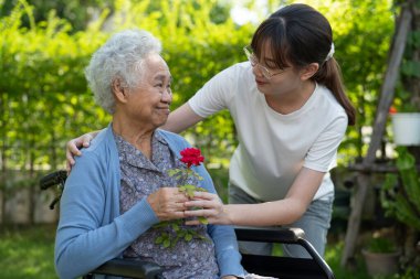 Asian elderly woman holding red rose flower, smile and happy in the sunny garden.
