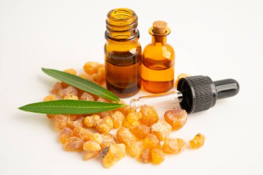 Tütsü ya da olibanum aromatik reçine tütsü ve parfümlerde kullanılan beyaz arka planda izole edilmiş..