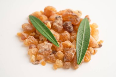 Tütsü ya da olibanum aromatik reçine tütsü ve parfümlerde kullanılan beyaz arka planda izole edilmiş..