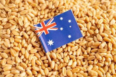 Avustralya bayrağı, ticaret ihracatı ve ekonomisi olan tahıl taneleri.