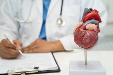 Kardiyovasküler hastalık CVD, Asyalı doktor kalp hastalıklarını öğrenmek ve tedavi etmek için insan anatomisi modeli tutuyor.