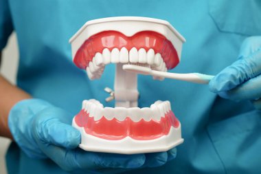 Hasta için diş fırçası ve diş fırçasıyla diş temizliği yapan Asyalı bir dişçi..