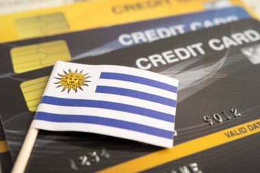 Uruguay bayraklı kredi kartı modeli, mali yatırım ekonomisi bankacılık.