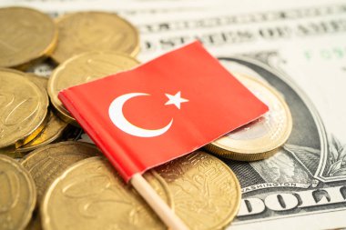 Türkiye bayrağı ve Amerikan doları banknotlu para yığını.
