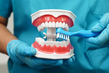 Hasta için diş fırçası ve diş fırçasıyla diş temizliği yapan Asyalı bir dişçi..