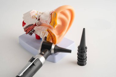 Odiyolog ya da ENT doktoru için otoskop, kulak kontrolü ve işitme kaybı sorununu tedavi etmek için otoskop kullanın.