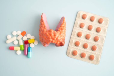 İlaç tedavisi gören tiroid modeli, Hipertiroidizm, Aşırı Aktif veya Lenfoma.