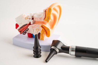 Odiyolog ya da ENT doktoru için otoskop, kulak kontrolü ve işitme kaybı sorununu tedavi etmek için otoskop kullanın.