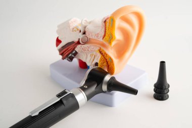 Odiyolog ya da ENT doktoru için otoskop, kulak kontrolü ve işitme kaybı sorununu tedavi etmek için otoskop kullanın.