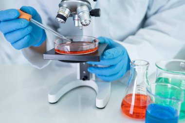 Bilimsel kimya laboratuvarında kırmızı renkli sıvı çözeltisi olan konik cam şişeyi elinde tutan bilim adamı..