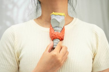 Hipertiroidizm, aşırı aktif tiroid, tiroid lenfoma, tiroid bezi insan anatomisi olan Asyalı kadın..