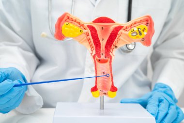 Vajinal ve rahim boynu sıvısı testi için rahmi tutan doktor doğum ve jinekolojiyi kontrol etti..