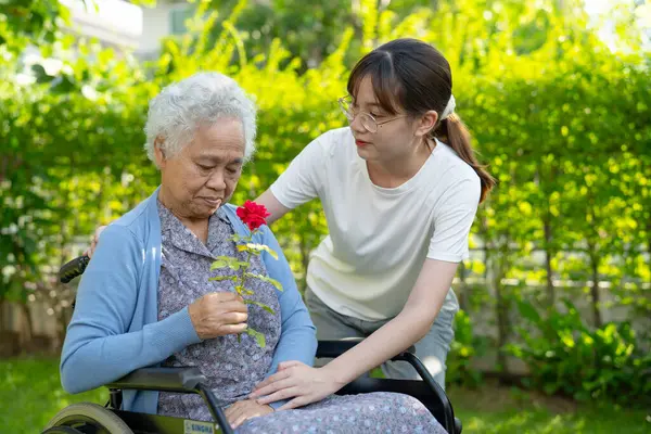 Asian elderly woman holding red rose flower, smile and happy in the sunny garden.