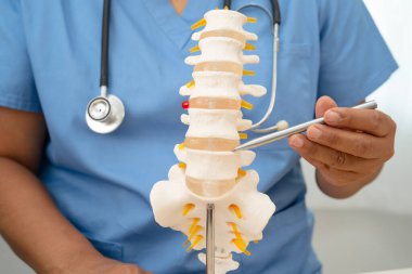 Ortopedi bölümünde tedavi için omurga iskeleti ve sinir modeline sahip bir doktor..