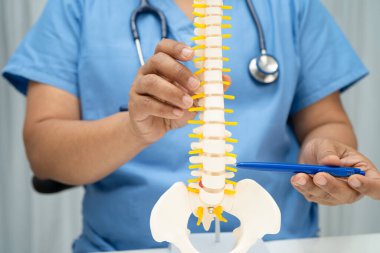 Ortopedi bölümünde tedavi için omurga iskeleti ve sinir modeline sahip bir doktor..