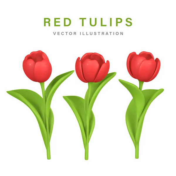 3D Cute colorful spring flower tulip in cartoon style for bouquet or decoration. Vector illustration.