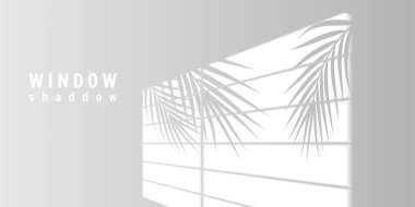 Pencere Aydınlık Gölgesi, Palm Leaf Yansıması, Minimalist İçişleri İçin Duvarda Yumuşak Güneş Işığı, Yaz Ruh hali Tasarımı. Vektör İllüstrasyonu.