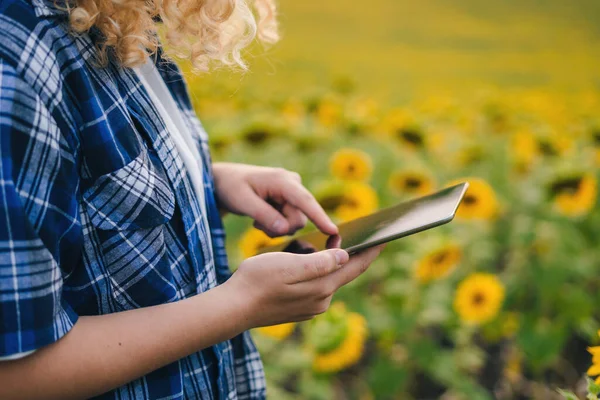 Close-up portrait of a womans hands using tablet computer in sunflower field. Smart farming and digital agriculture. Computer tablet. Smart farming
