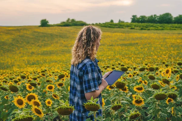 Back View Farmer Woman Agronomist Checking Sunflower Field Tablet Inteligent — Stock Photo, Image