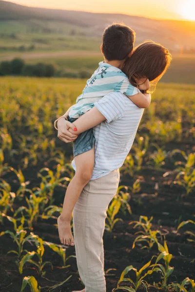 Мать Держит Мальчика Руках Любуясь Закатом Зеленого Кукурузного Поля Летняя — стоковое фото