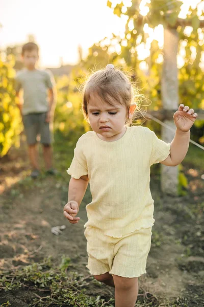Baby girl angry with her older brother, running through the vineyards to find her mother. Happy family outdoors. Summer vacation fun. Little garden.