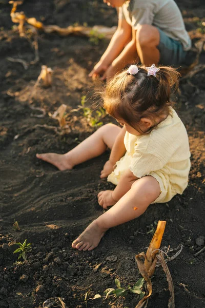 Erkek Kardeşinin Yanında Oturan Küçük Kız Bahçede Yerde Oturuyor Elleriyle — Stok fotoğraf