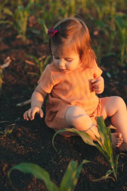 Mısır tarlasında oturmuş gün batımında gülümseyen küçük tatlı bir kızın portresi. Bebek eğleniyor. Sağlıklı aktivite. Yeşil doğa. Yazın açık hava eğlencesi.