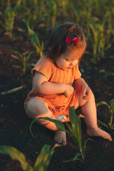 Menina Sentada Chão Entre Plantações Milho Brincando Descobrindo Mundo Seu — Fotografia de Stock