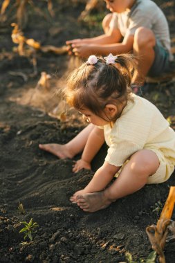 Bir kız kardeş ve abisi evlerinin yakınındaki mezarda birlikte oynuyorlar. Çocuklar güneşli bir günde dışarıda oynarlar. Çocukluk, yazın çocuklarla tatil.