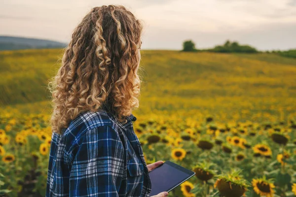 Woman Curly Hair Standing Sunflower Field Checking Growth Sunflower Flowers — Stock Photo, Image