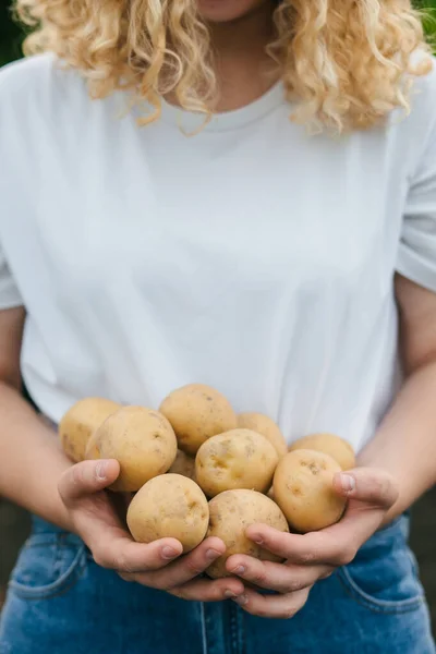Junge Frisch Gegrabene Kartoffeln Weiblichen Händen Porträt Aus Nächster Nähe — Stockfoto