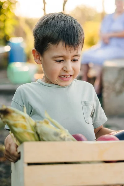 Kleiner Junge Trägt Einen Korb Mit Frischem Bio Gemüse Und — Stockfoto