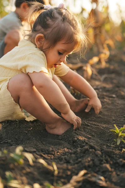 Güneşli Bir Yaz Gününde Iki Çocuk Arka Bahçeyi Elleriyle Kazıyor — Stok fotoğraf