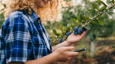 Cep telefonlu kadın çiftçi, uygulamaları ve interneti kullanarak çiftlikte çalışıyor. Modern tarım teknolojilerini kullanan akıllı çiftçiler..