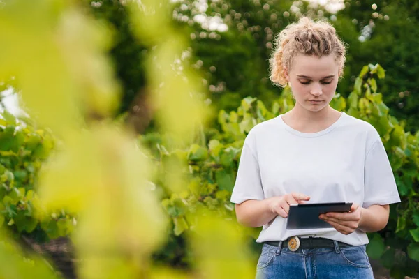 Woman farmer on a green vines field with a tablet in her hands. Smart farm. Farmer checking crops on an agricultural field. The concept of the agricultural