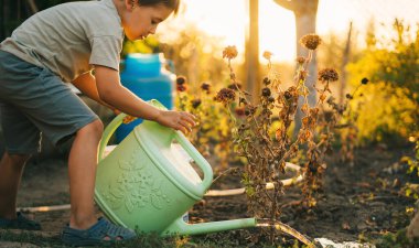 Cute little boy watering plants with watering can in the garden smiling and having fun. Activities with children outdoors.