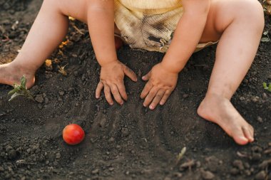 Close-up portrait of babys hands digging in the ground, playing outdoors on spring day. Baby child wearing yellow summer suit. Portrait of happy girl.