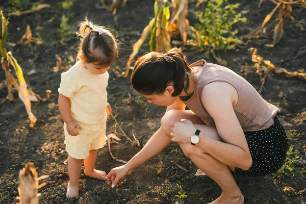 Koncentrált Anya Lánya Élvezik Kertészkedést Vidéki Házuk Hátsó Udvarán Magvető — Stock Fotó