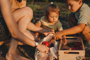 İki çocuklu bir anne tarafından satın alınan taze sebzelerle dolu hasat kutusunu kapat. Organik gıda, üretim. Sebze hasadı.