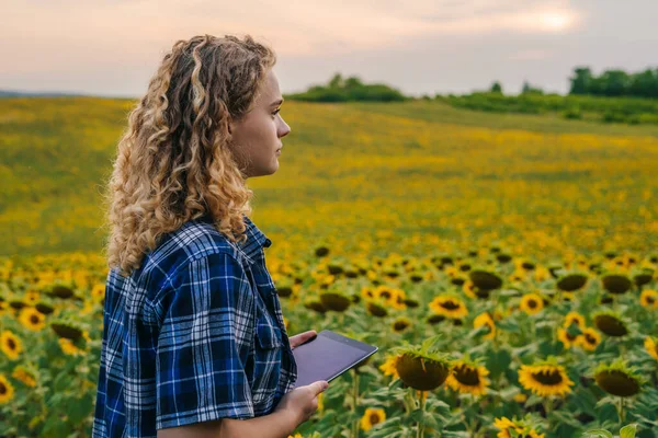 Woman worker with a tablet in her hands looking towards the windmills while standing next to a sunflower field. Farmer field. Organic oil. Flower power.