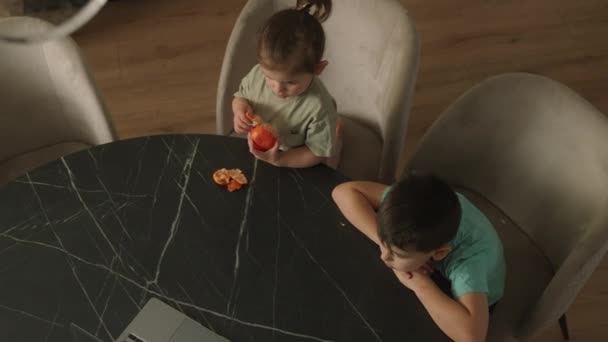 キッチンのテーブルに座っているラップトップでビデオを見ている2人の子供のトップビュー オンライン教育の概念 テレビを見ている2人の子供の肖像 — ストック動画