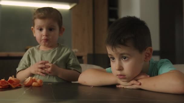 Симпатичные Маленькие Братья Сестры Сидящие Столом Кухне Смотрящие Мультфильмы Онлайн — стоковое видео