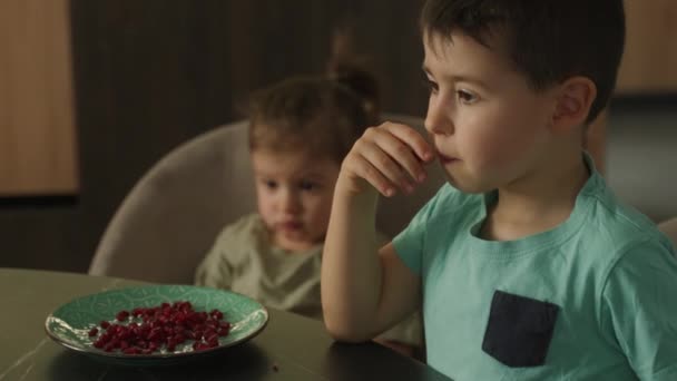 Duas Crianças Caucasianas Com Laptop Frutas Sentadas Mesa Cozinha Tecnologia — Vídeo de Stock